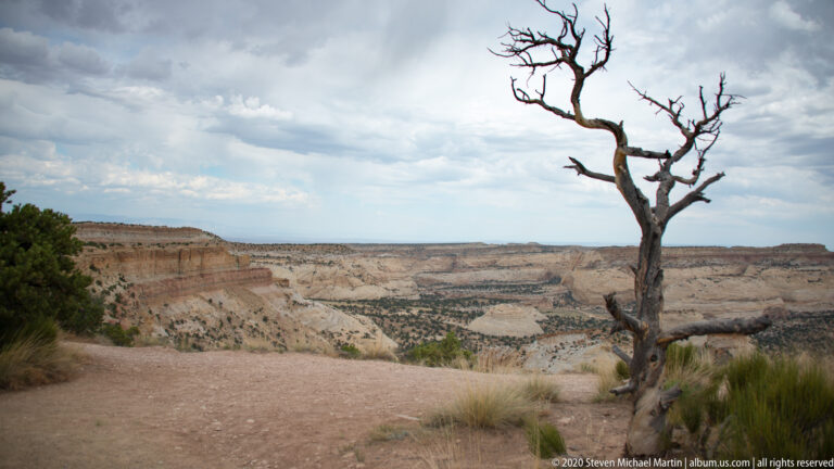 A bare twisted tree stands beside a sandy overlook above a broad canyon basin.