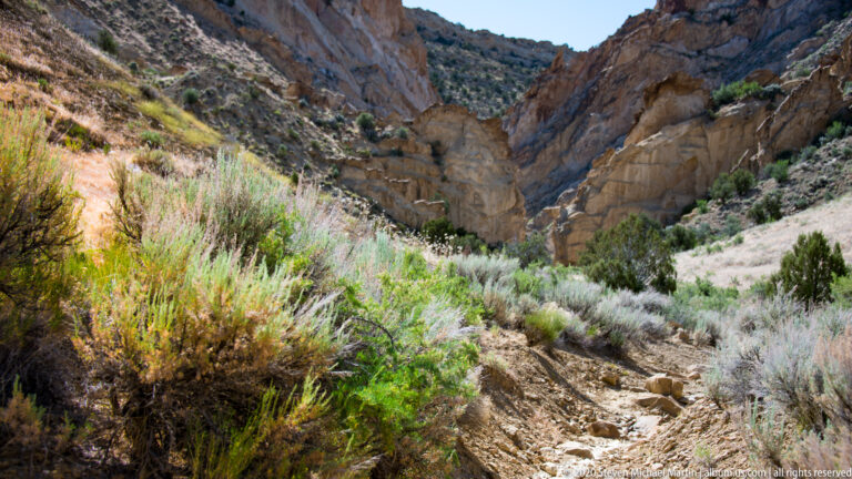 A gravel wash and dense shrubs lead toward a narrow ravine between pale and red cliffs.