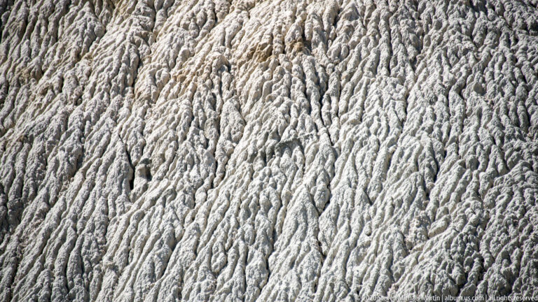 Parallel ridges and narrow grooves create a close texture across pale eroded rock.