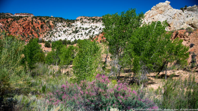 Green trees and pink blossoms fill a valley below a red-and-white ridge and pale outcrop.