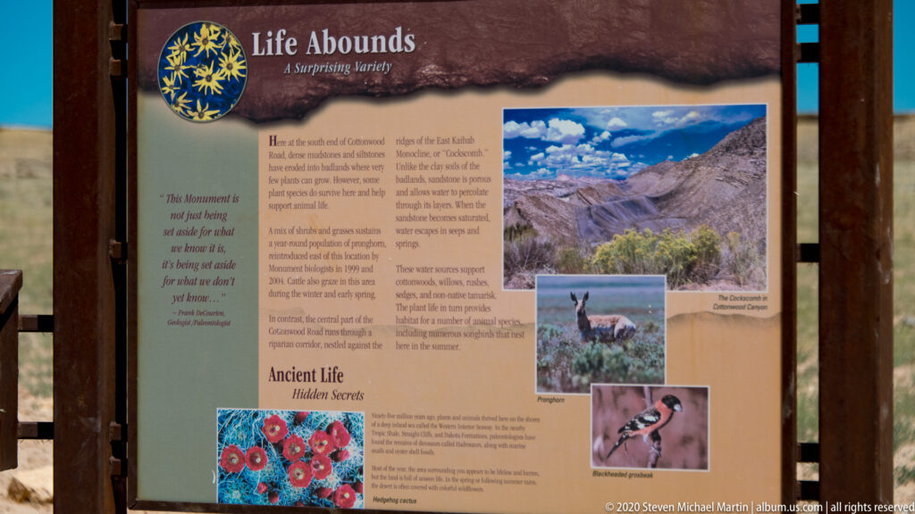 A Life Abounds panel combines text with photographs of a canyon, pronghorn, bird, and flowers.