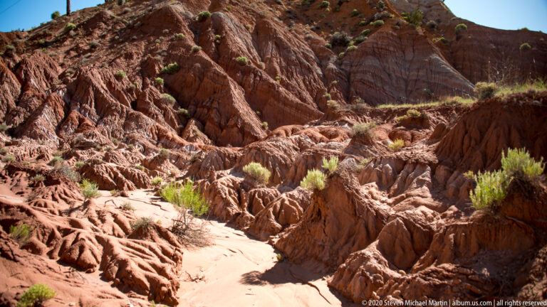 Branching erosion channels cut through red sandstone ridges with small shrubs growing between them.