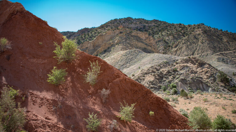 A small green shrub grows from a red sandstone wall with pale ridges and a dark crest behind.