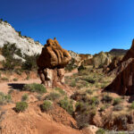 Grand Staircase Escalante NM – Cottonwood Narrows