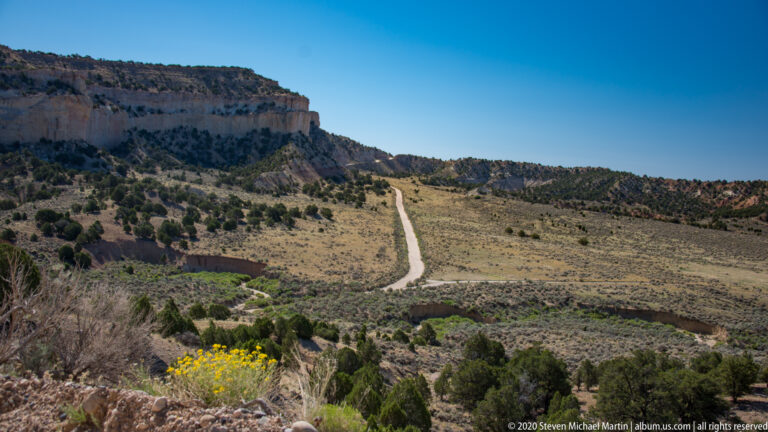 A straight dirt road crosses a grassy plateau toward a pale mesa, with yellow flowers in front.