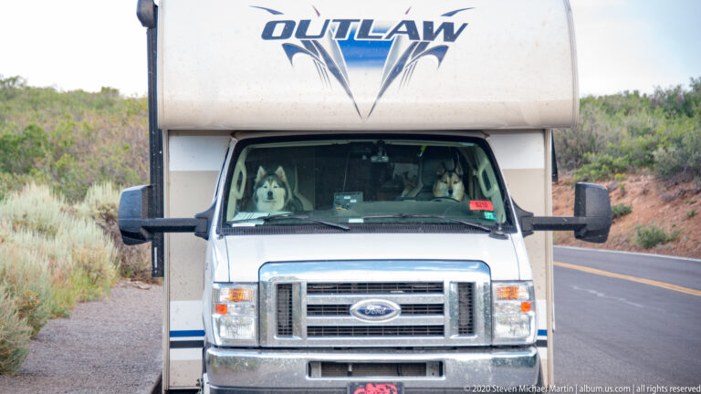 Two dogs look through a motorhome windshield as the vehicle sits beside a park road.