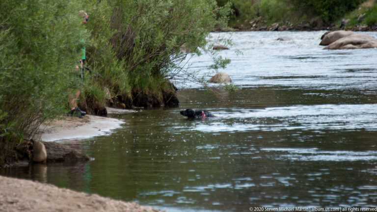 A person in dark gear floats low in the river near a shrub-covered bank.
