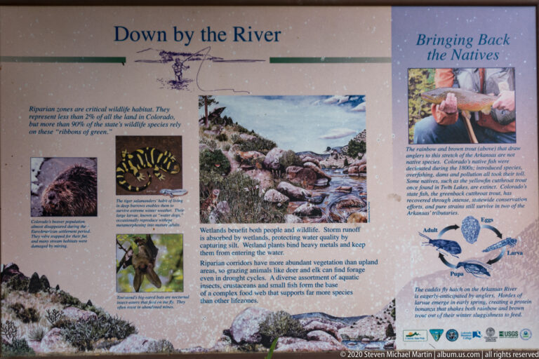 Interpretive panel about river habitat and native species, with animal photographs and a life-cycle diagram.