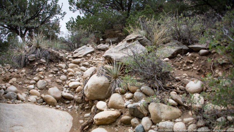 Rounded stones fill a dry wash bordered by shrubs and spiky plants.