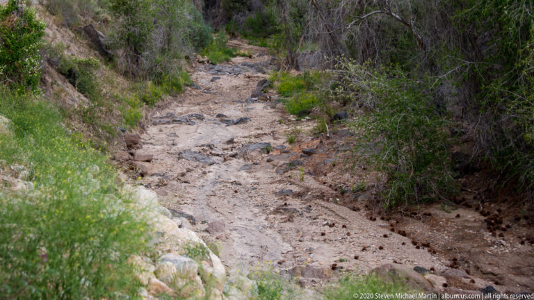 A rough stone-and-gravel footpath winds between low shrubs toward taller trees and brush.