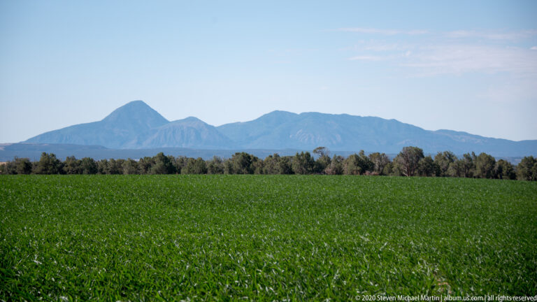 A green field meets a tree line and broad blue mountain ridge beneath a pale sky.
