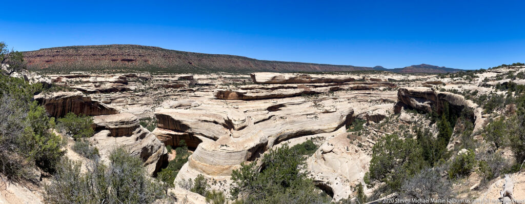 Layered pale sandstone benches and scattered trees descend into a narrow canyon below a distant mesa.