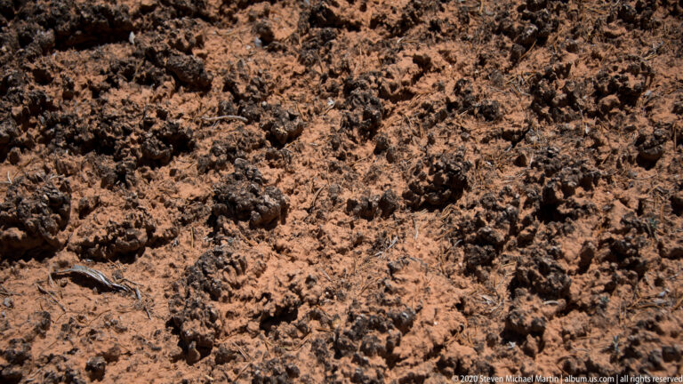 Rounded pits and dark cavities cover a close-up of rough orange sandstone.