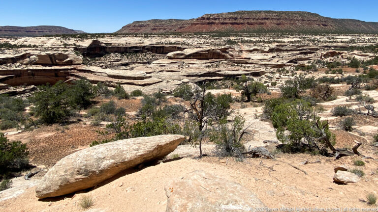 Pale slickrock and scattered low shrubs spread across a plateau beneath a long red-banded mesa.