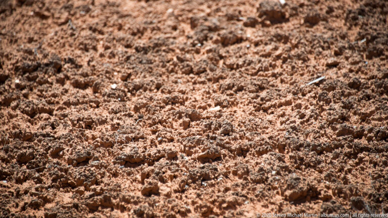 A close view of reddish sandstone densely pitted with small holes and rough cavities.