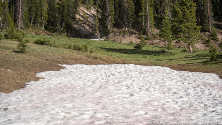 A wide uneven snowbank lies in a meadow below a forested slope.