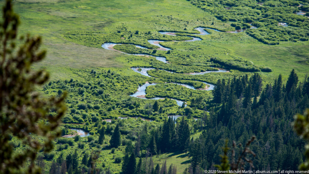 An elevated view of a winding stream crossing a green meadow beside a dense stand of conifers.