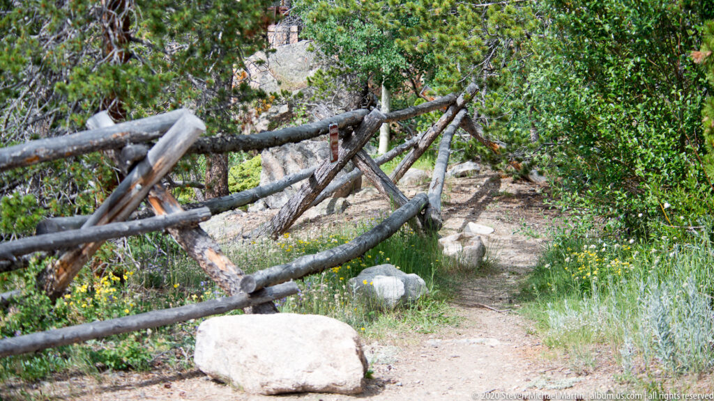A rustic log fence borders a narrow rocky trail through dense shrubs and wildflowers.