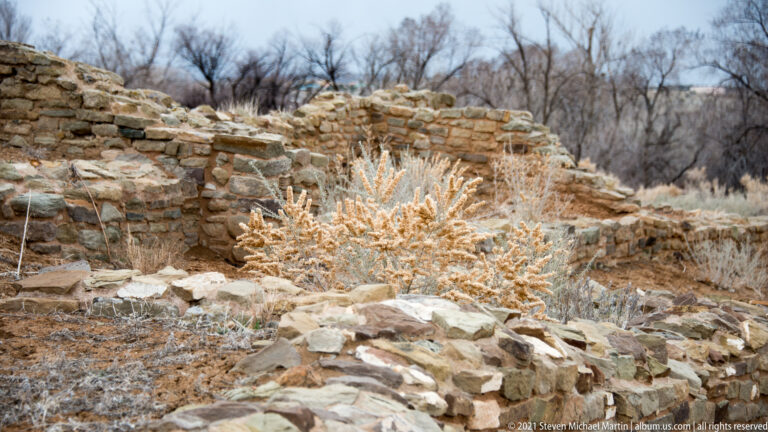 Dry pale shrub grows among low stone ruin walls, with leafless trees beyond.