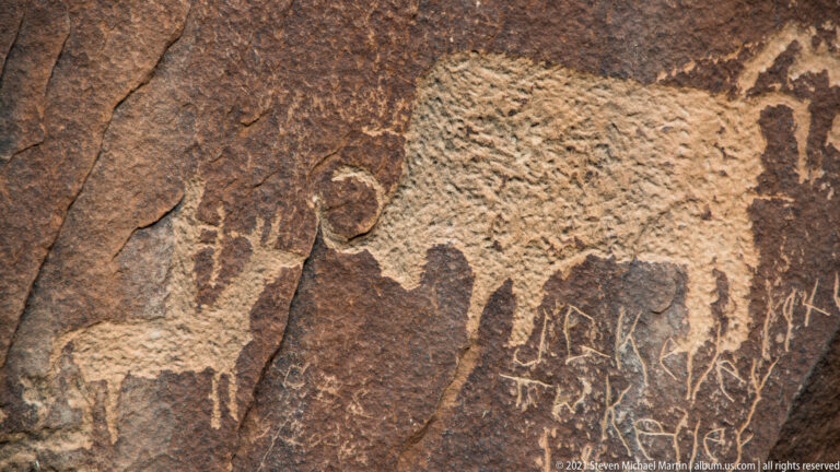 A pale patch of sandstone interrupts a dark petroglyph surface marked with small figures and cracks.