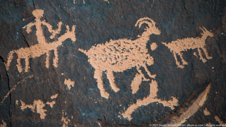 A broad-bodied petroglyph with a curled extension is surrounded by smaller animal-like figures.