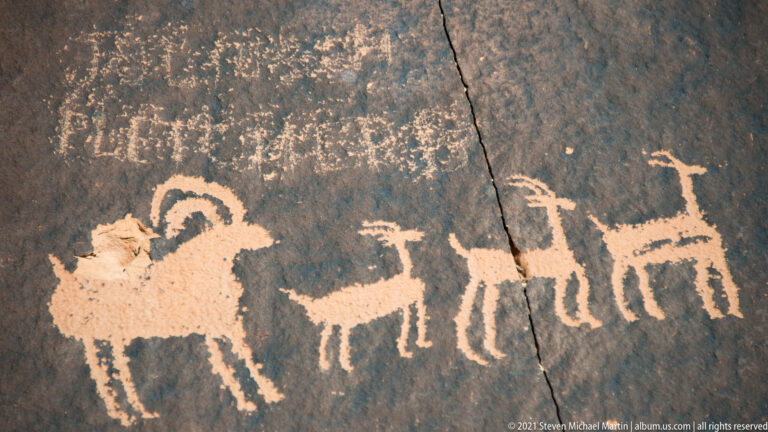 Three animal-like petroglyphs stand in a row, with one larger figure at left and two smaller ones to the right.