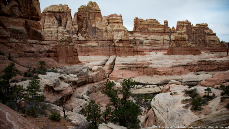 Rounded slickrock slabs and shallow channels lead toward tall banded sandstone cliffs with sparse shrubs.