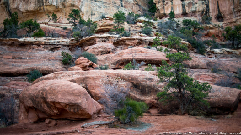 A juniper grows between rounded sandstone boulders beneath layered canyon walls and scattered scrub.