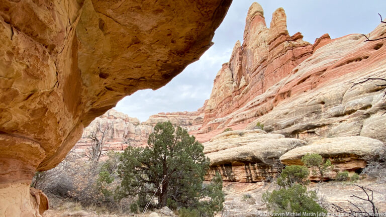 A projecting sandstone ledge shades the upper left while pale canyon walls and a juniper fill the opening.