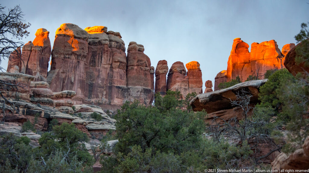 A close row of narrow sandstone pinnacles glows orange above dark juniper.