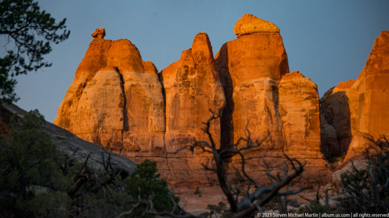 Orange sandstone columns fill the frame, separated by dark vertical cracks and partly crossed by branches.