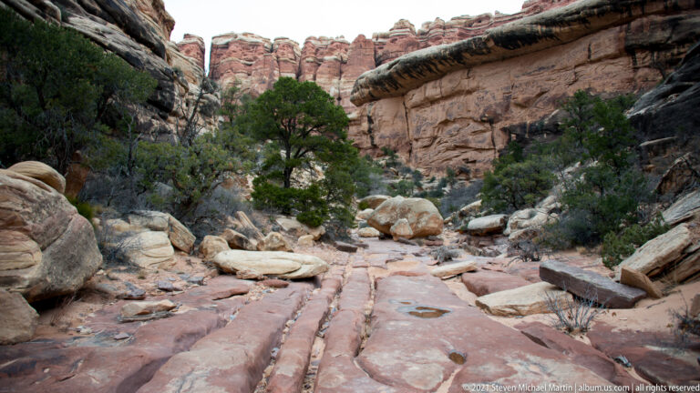 A sandy wash passes a juniper and boulders beneath an overhanging ledge and tall rock wall.