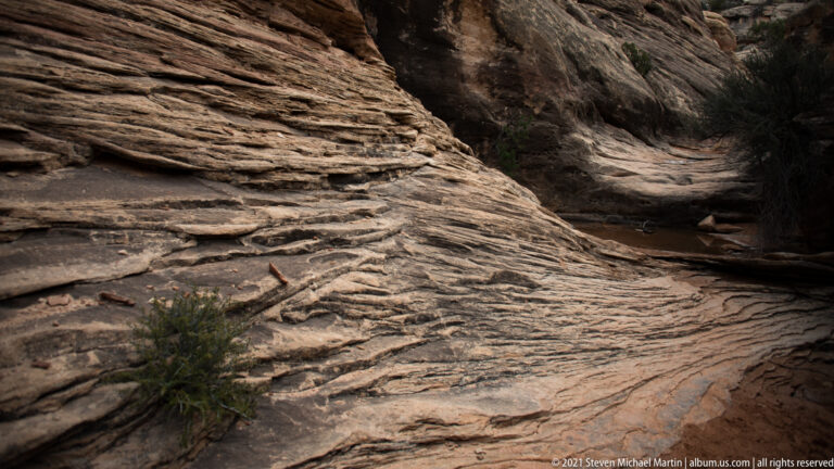 A grooved sandstone channel bends into a dark passage beside a small juniper.