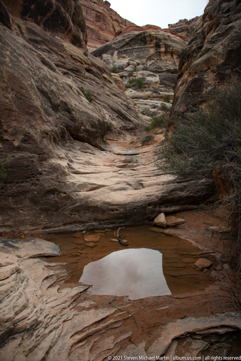 A shallow pool reflects cloudy sky from a slickrock depression below layered sandstone shelves.