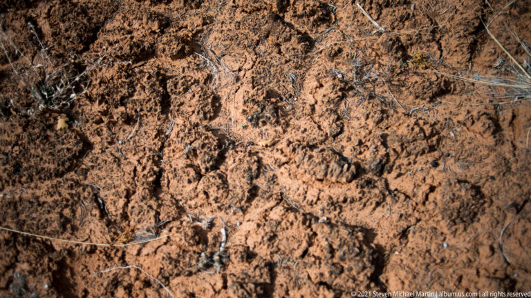 Rough orange sandstone fills the frame, marked by shallow pits, ridges, and fine cracks.