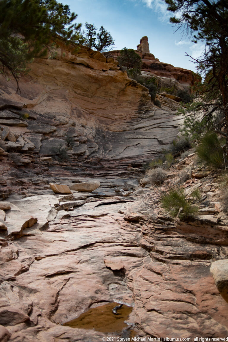 A smooth sandstone channel with grooves and small pools runs between scrub and a low rock ledge.