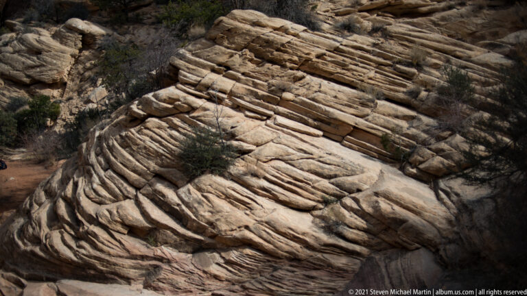 Curving sandstone layers form a ribbed tilted outcrop bordered by sparse shrubs.