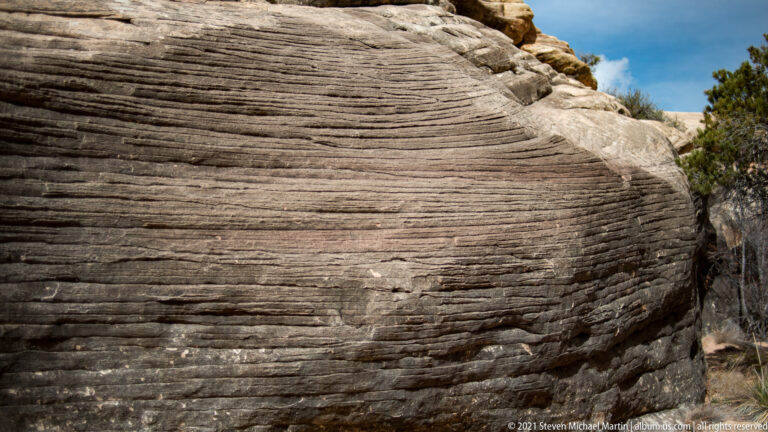 Fine parallel sandstone bands curve across a close, rounded rock face in gray, brown, and cream tones.