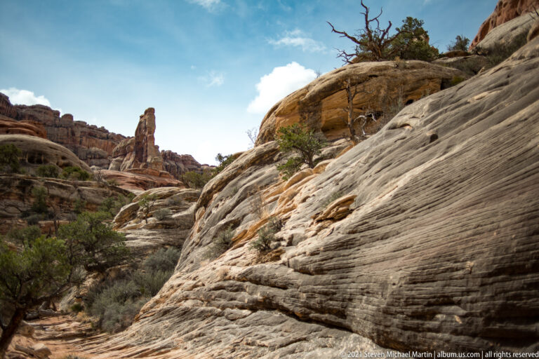 A sloping slickrock shelf leads toward a distant sandstone spire, framed by a twisted tree and low shrubs.