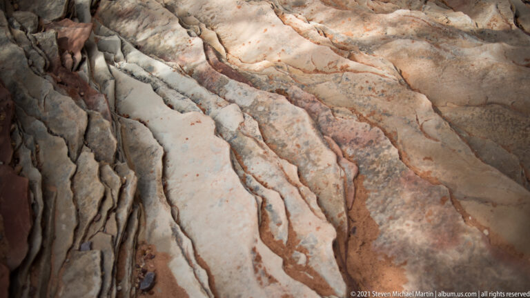 Branching grooves and reddish lines divide a close view of pale sandstone into long uneven channels.