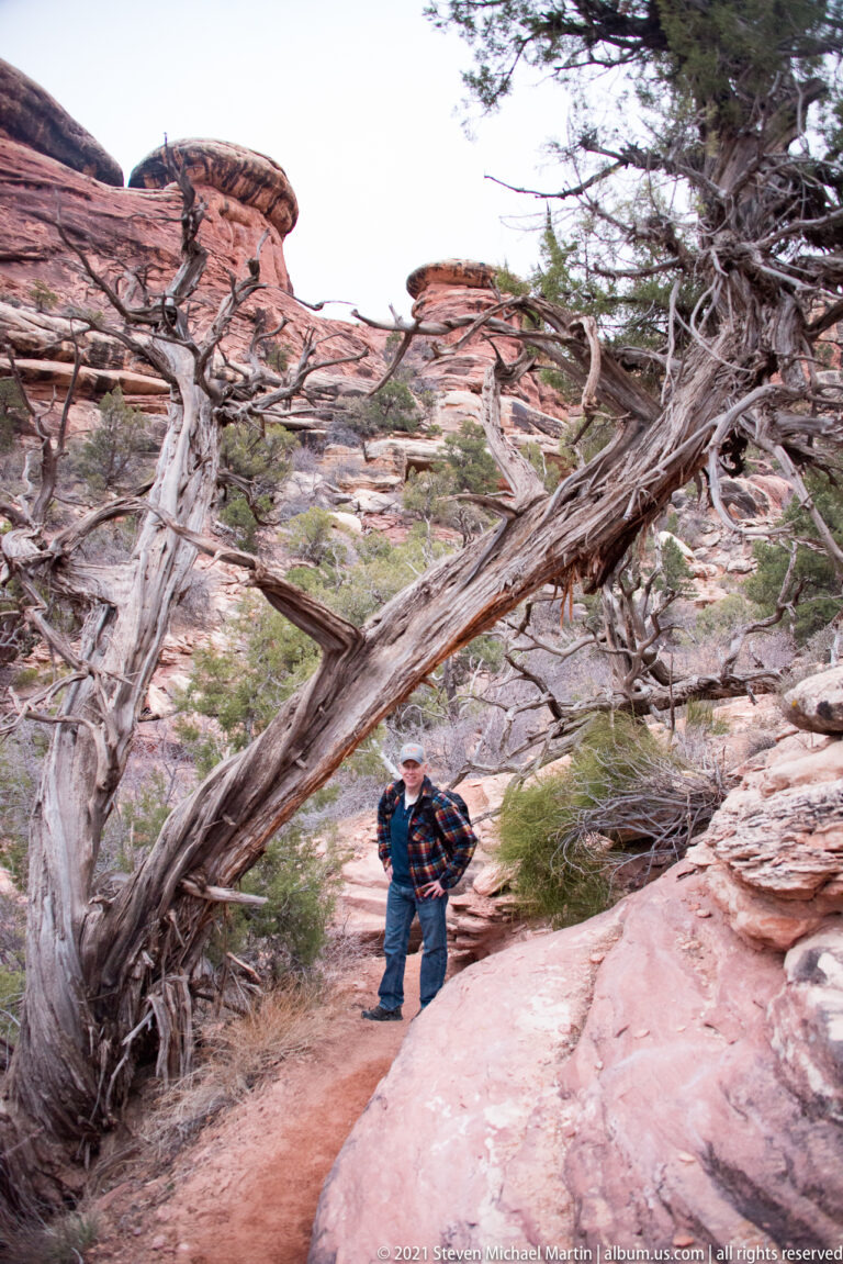 A hiker stands on a rocky trail beneath a leaning, twisted tree surrounded by sandstone and shrubs.