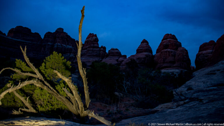 A bare branch and small juniper stand before silhouetted sandstone towers under a blue evening sky.