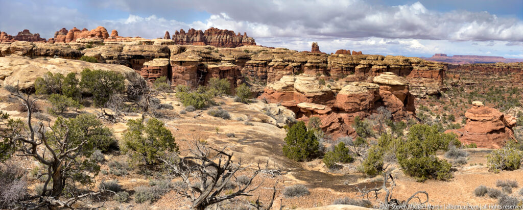 Pale bedrock and low shrubs overlook layered sandstone ledges and distant pinnacles beneath clouds.
