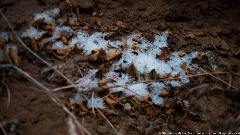 A small patch of granular snow rests among brown leaves, twigs, and dark soil.