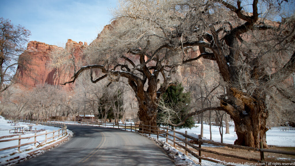 A paved lane curves through a snow-covered orchard beneath leafless trees, with red cliffs beyond.