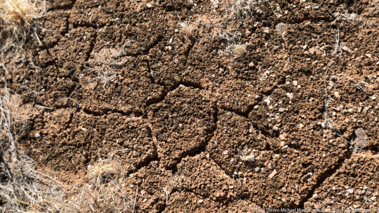 Cracked brown ground forms irregular plates dotted with small stones and dry fibers.
