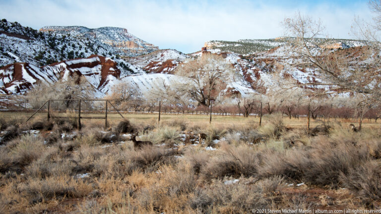 Leafless orchard trees and a fence stand below snow-dusted red cliffs in winter.
