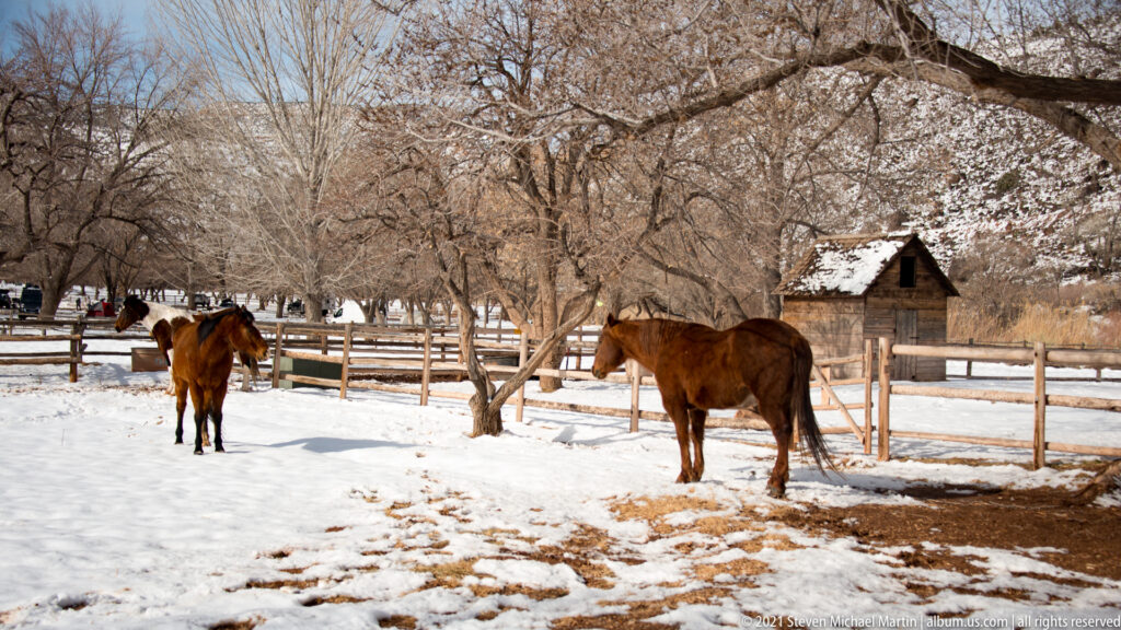 Two horses stand among wooden fences and leafless trees in a snow-covered paddock.