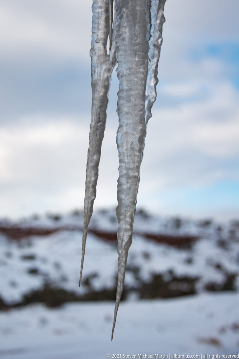 Long ribbed icicles hang in focus against a softly blurred snowy landscape and pale sky.