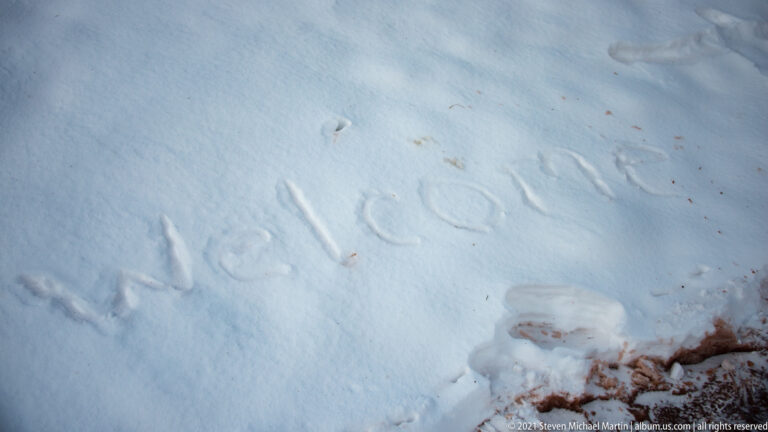A few compressed tracks and shallow impressions cross a smooth field of snow.